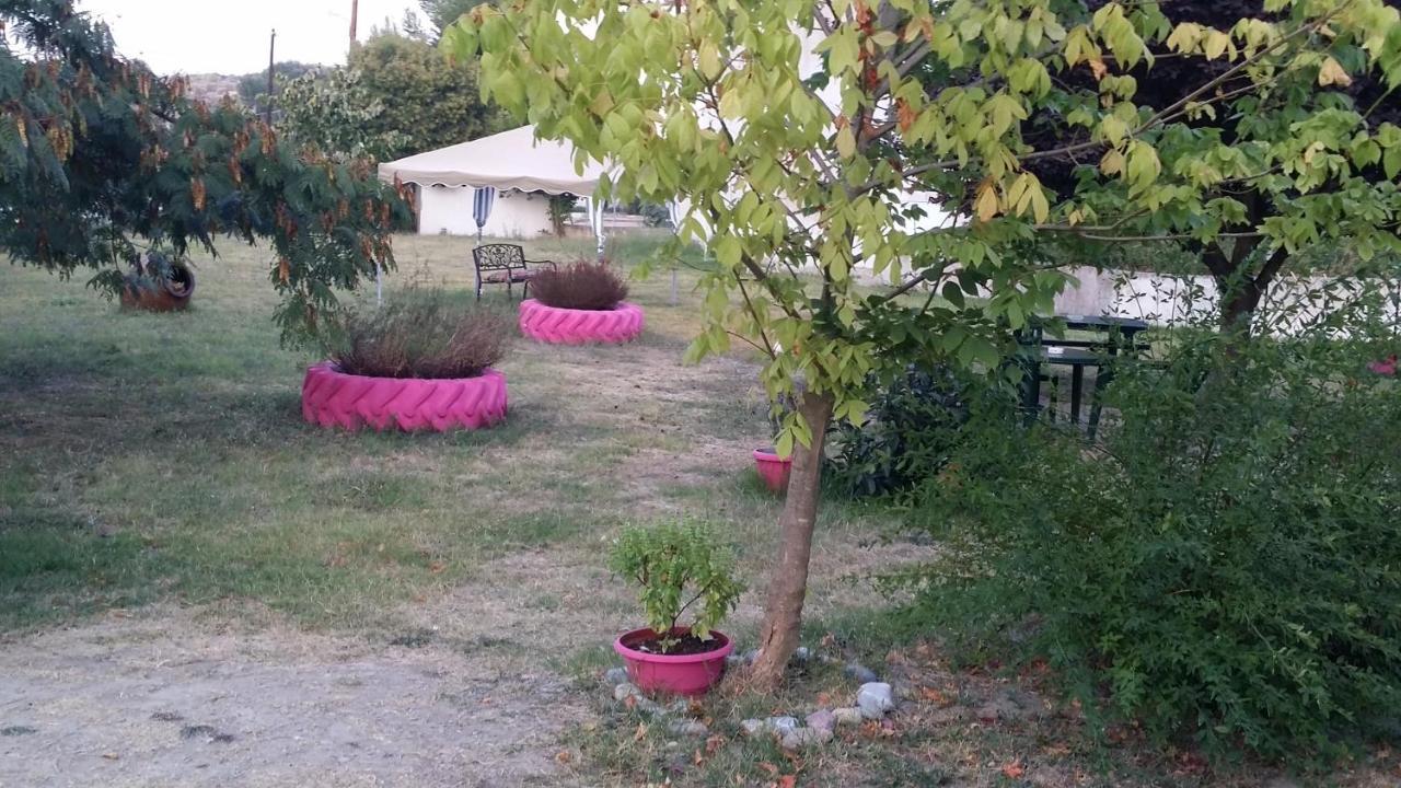 Posidi Studios Kültér fotó